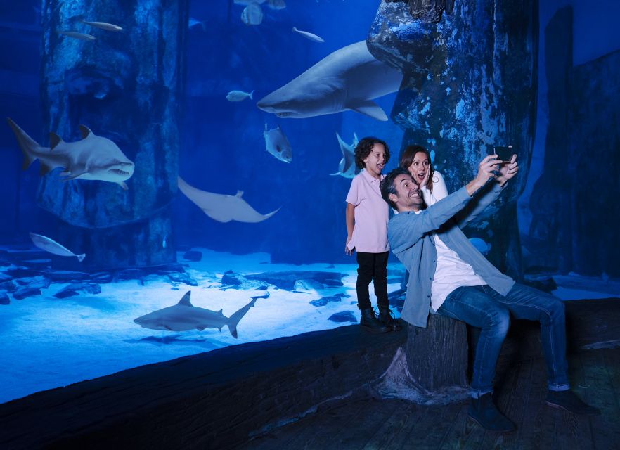 Mall of America: Sea Life Minnesota Aquarium Entry Ticket