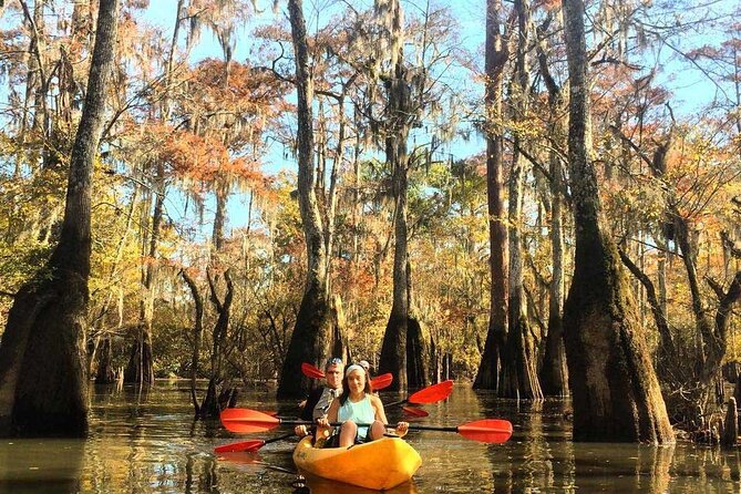 Manchac Swamp Kayak Tour for Experienced Kayakers With Pickup - Overview of the Tour