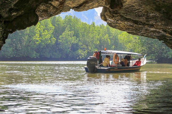 Mangrove Forest Tour In Langkawi