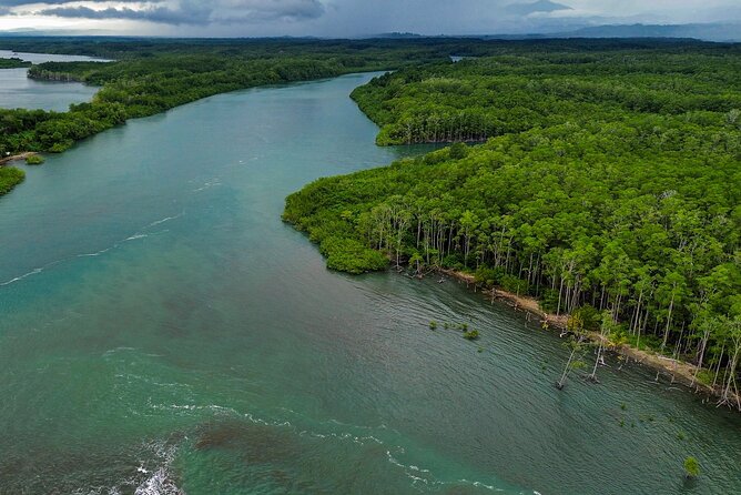 Manuel Antonio Mangrove Boat Tour - Tour Overview