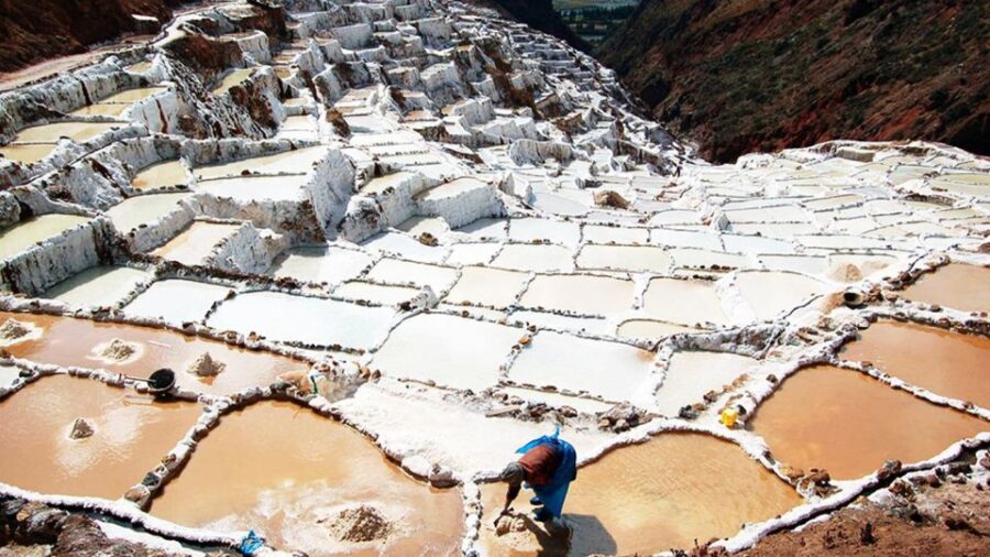 Maras Moray