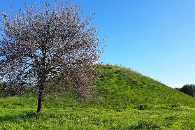 Marathon, Thermopylae/ Herodotus History Private Tour (9 Hours) - Tour Duration and Pickup