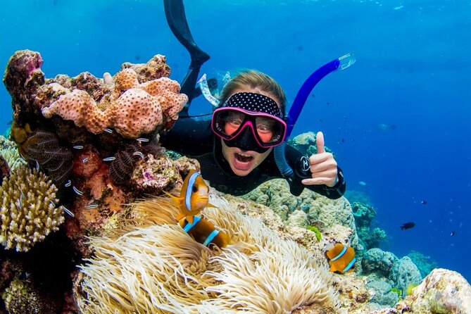 2 2 Best Snorkeling Experiences In Trelawny