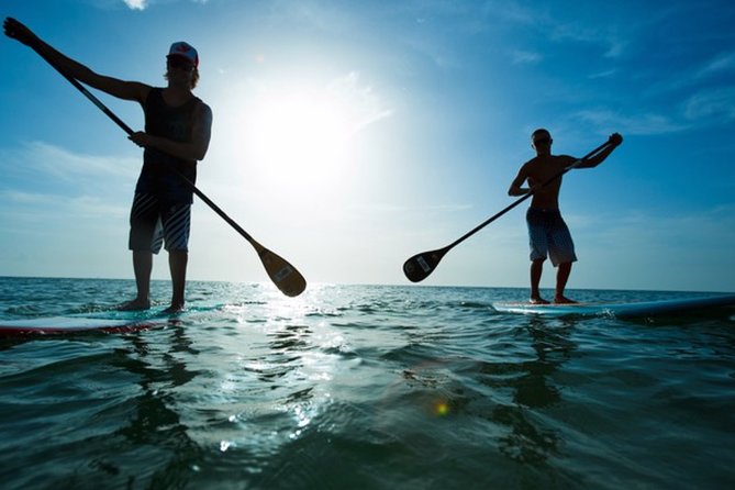 Marina Del Rey Paddleboard Tour