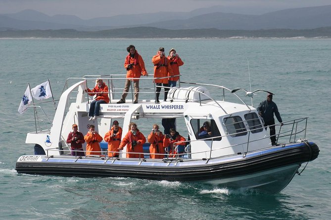 Marine Big 5 Safari Full Day Trip From Cape Town - Wildlife Sightings