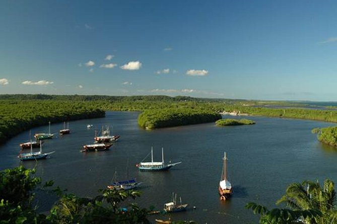 Marinho Da Coroa Alta Park Nautical Tour and Mud Bath From Porto Seguro