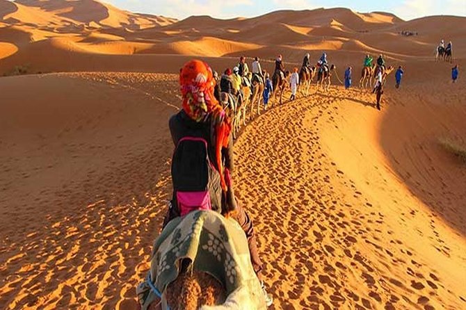 Marrakech Camel Ride