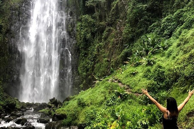 Materuni Waterfalls and Coffee Tour