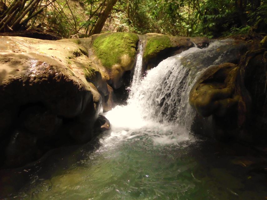 Mayfield Falls River Walk With Private Transportation - Activity Overview