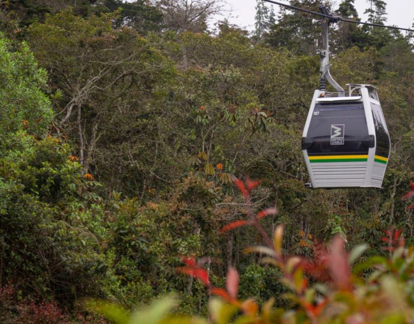 Medellin: Arvi Park, Cable Car & Waterfalls Tour