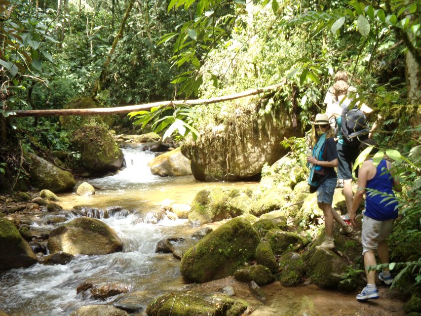 Medellin: Half–Day Private Nature Tour & Waterfall Hike - Tour Overview