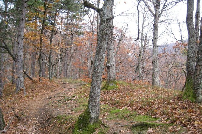 Medvedgrad Fortress: Half Day Guided Walking Tour From Zagreb - Inclusions and Exclusions