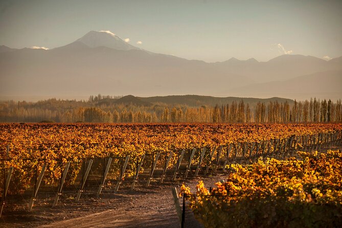 Mendoza Malbec Experience