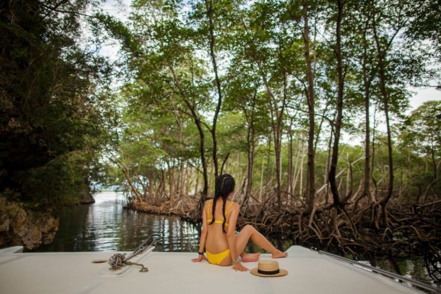 2 Best Coffee Tours And Tastings In Sabana De La Mar