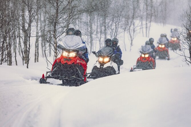 Midday Snowmobiling in Camp Tamok With Guide - Overview of the Activity