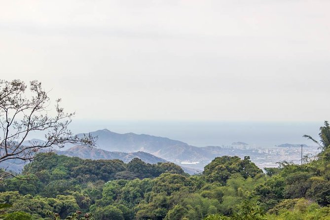 Minca Day-Trip and Coffee Farm Visit From Santa Marta