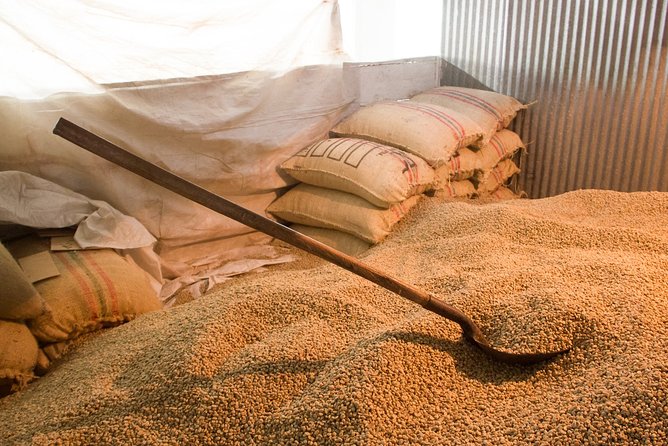 Minca, Waterfalls and Coffee Farm Tour From Santa Marta