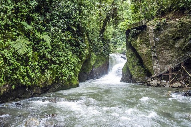 Mindo From Quito – Private Tours
