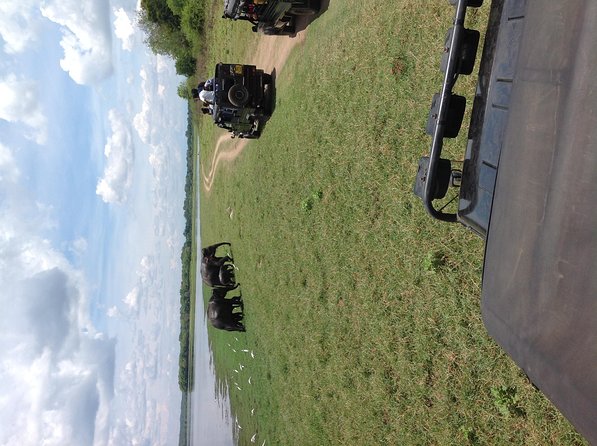 Minneriya National Park Safari Tour From Dambulla or Polonnaruwa - Tour Overview