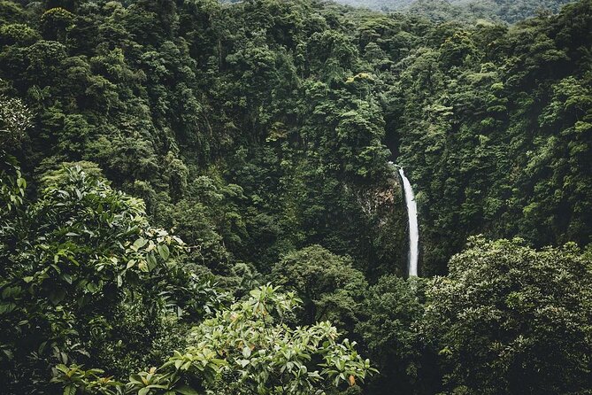 Mistico Park Hanging Bridges & La Fortuna Waterfall | Best Tours for Families