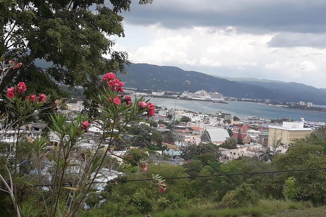 Mobay Roots and Culture Shore Excursion - Tour Requirements