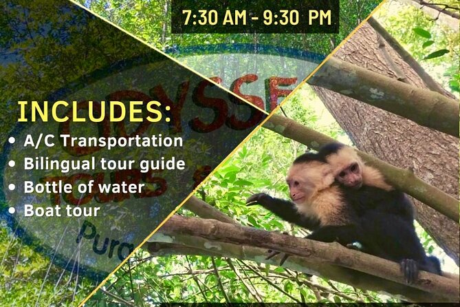Monkey Mangrove Tour