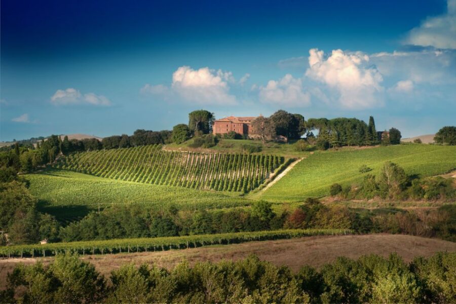 13 Best Wine Tours In Montalcino
