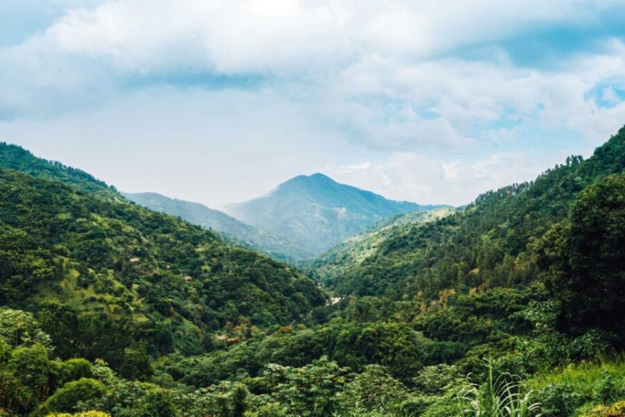 Montego Bay: Blue Mountain Highlights With Lunch and Brunch