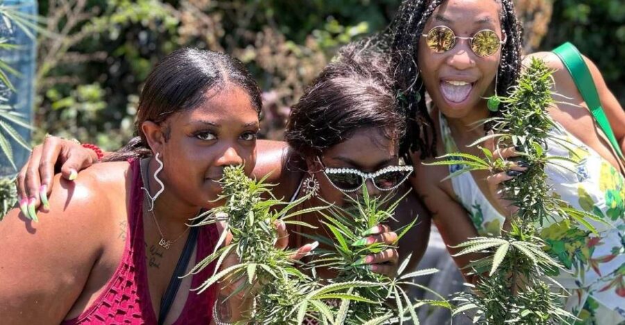 Montego Bay: Marijuana Farm and Bird Sanctuary Tour