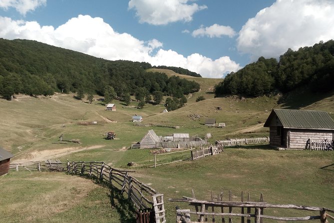 Montenegro Village Cheese Private Tour  - Podgorica - Overview of the Tour