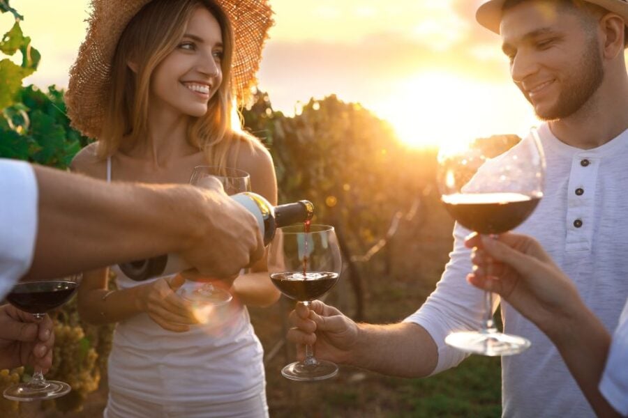 Montepulciano: Wine Cellar Tour & Tuscan Countryside Picnic