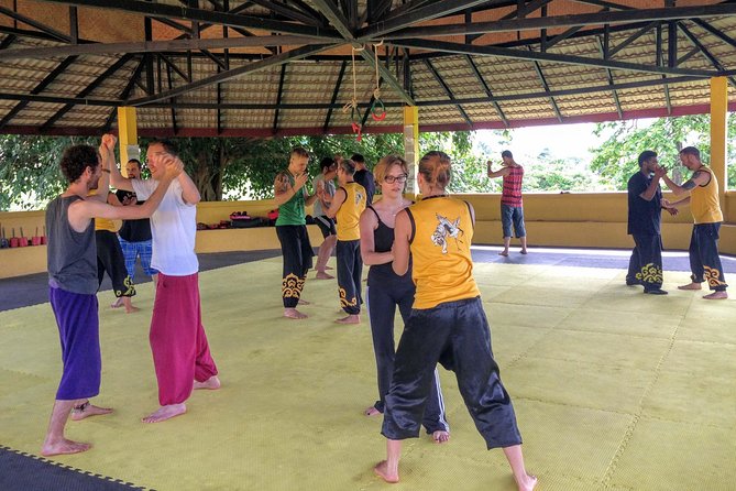 Morning Course Shaolin Warrior Training - Course Overview