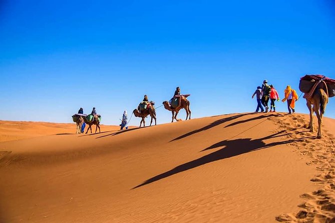 Morocco Desert Tours From Marrakech 3 Days