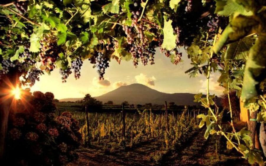 12 Best Lunch Experiences In Pompeii