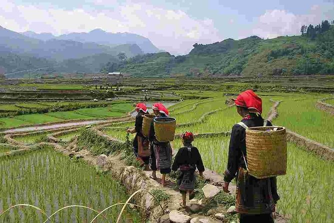 Mountain Views & Muong Hoa Valley Trek –Private 2 Days 1 Night Tour