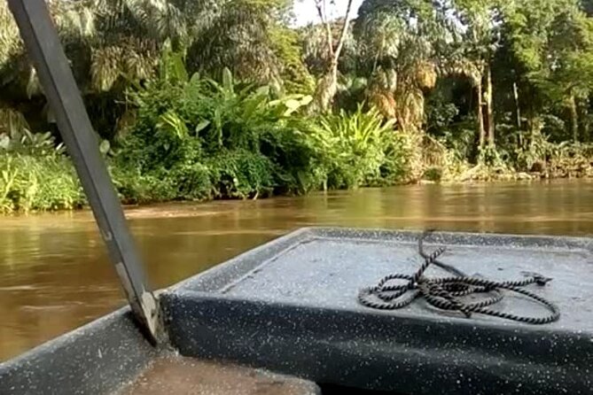 Multi-Day All Inclusive at Tortuguero With a Tour at National Park From San Jose