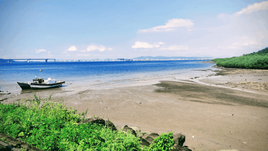13 Best Cruises And Boat Tours In Mumbai