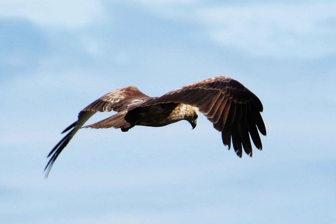 Muthurajawela Bird Watching Tour