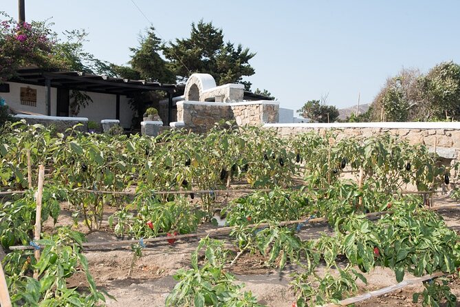 Mykonian Farm Entrance Ticket - Overview of Mykonian Farm