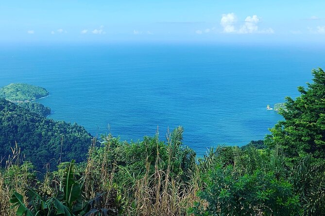 ( MyRide* )Trinidad Airport & Hotel Transfer