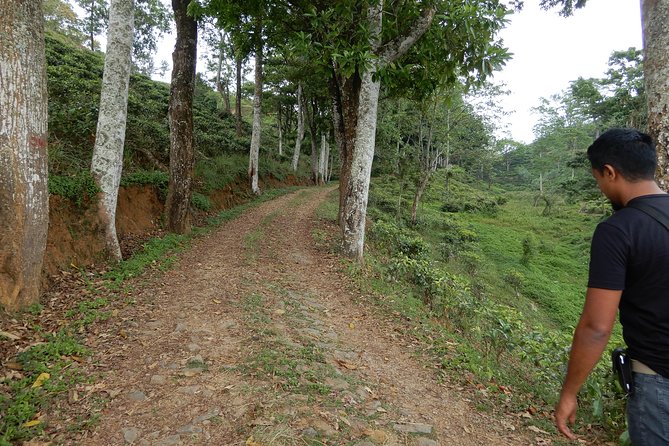 N Trekkers Matale