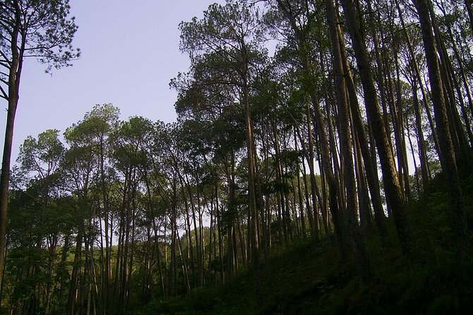 Nagarkot Sunrise Tour With Sallaghari: Changunarayan Hiking