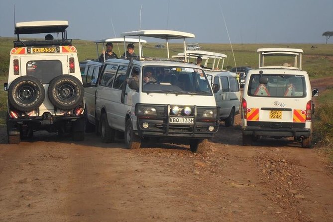 Nairobi National Park 1.p.m Game Drive