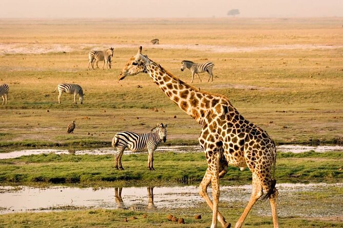 Nairobi National Park Group Tour