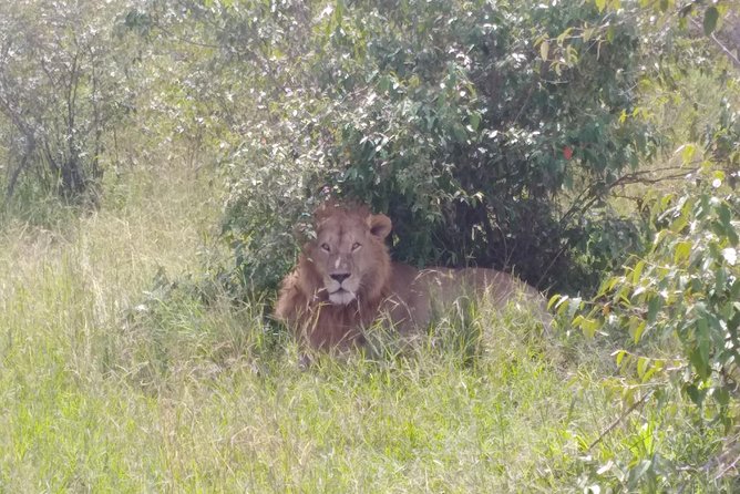 Nairobi National Park