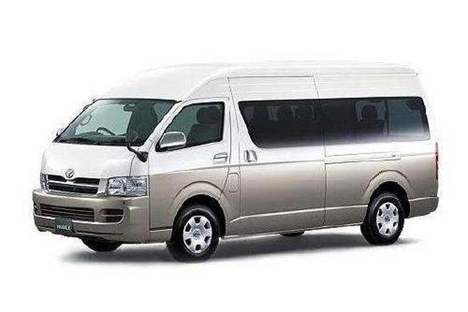 Nanjing Railway Station Private Transfer From City Center