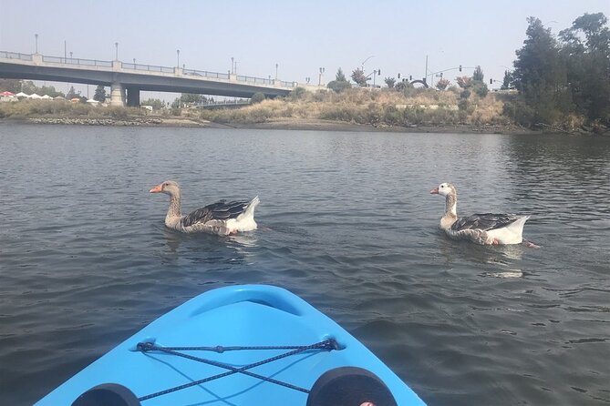 Napa Valley Single Kayak Rental