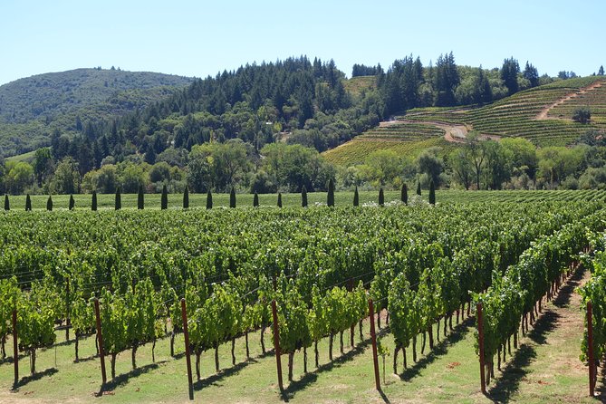 Napa Valley Wine Tasting Tour 6 to 8 Hours Max 14 Passenger - Tour Overview