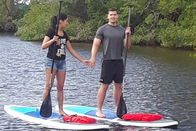 Naples Fl, Paddleboard Mangrove Forest Tour