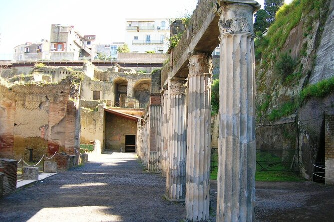 Naples: Herculaneum Entry Ticket With Digital Audio Tour - Included Features and Requirements